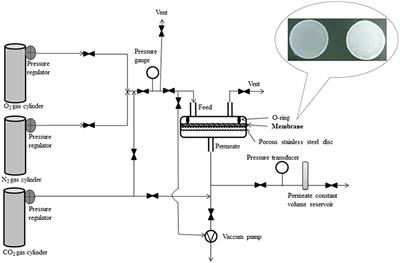 High Selective Mixed Membranes Based on Mesoporous MCM-41 and MCM-41-NH2 Particles in a Polysulfone Matrix